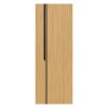 interior-doors-veneers-inserts-oak-sandy-gloss-black-3-ariana-1-1.jpg